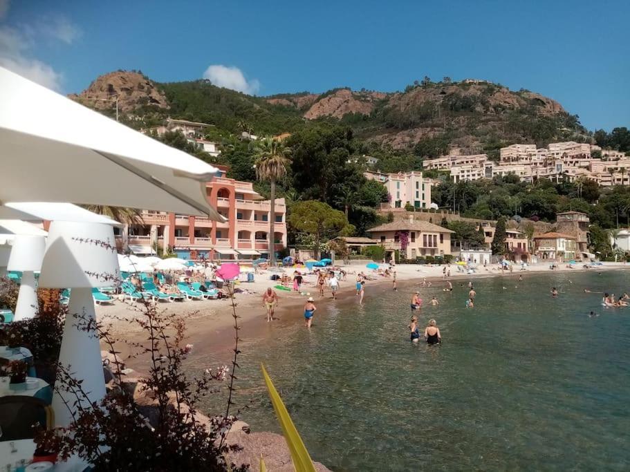 2 Pieces Climatise A 200M Des Plages Теуль-сюр-Мер Екстер'єр фото