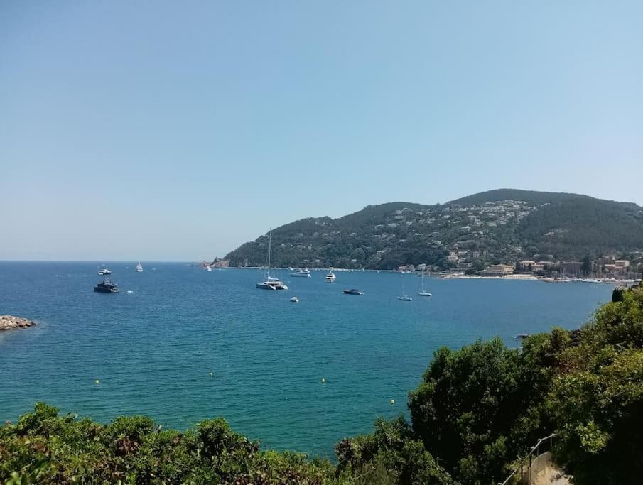 2 Pieces Climatise A 200M Des Plages Теуль-сюр-Мер Екстер'єр фото